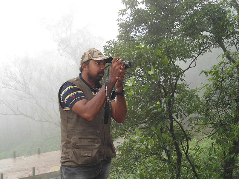 Wildlife photography in Valparai capturing Indian gaur in forest landscape