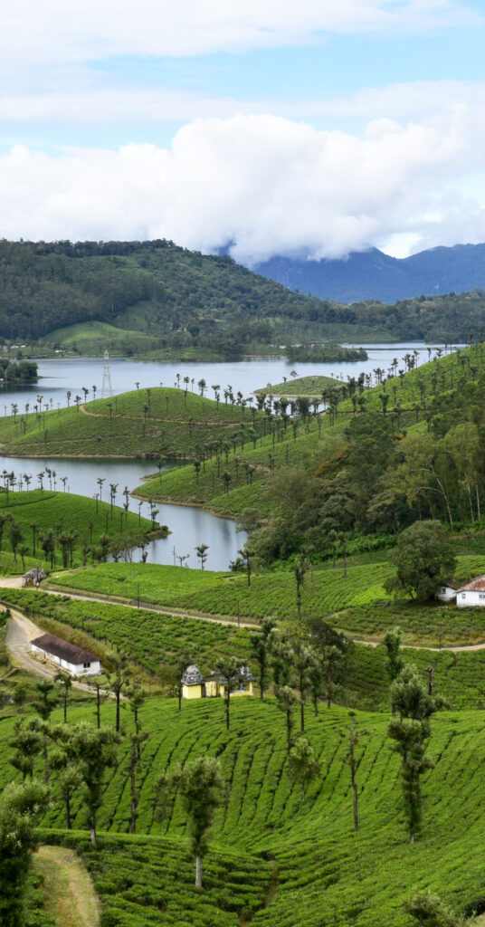 Sholayar Dam Senguthuparai – Valparai Scenic View Sholayar Dam near Senguthuparai in Valparai surrounded by lush green hills