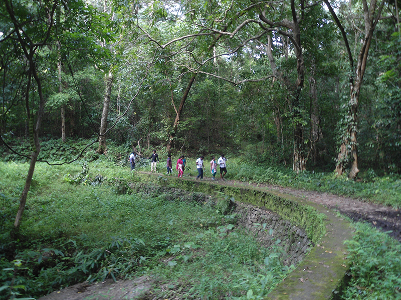 Guided trekking through dense forest trail in Valparai Forest
